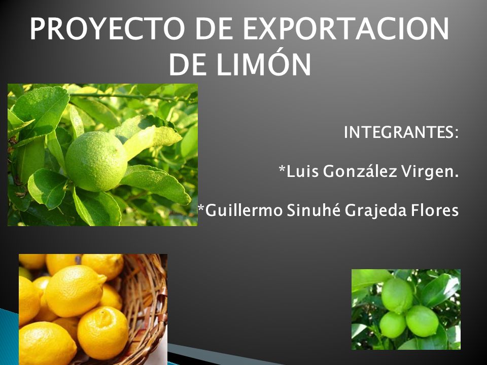 PROYECTO DE EXPORTACION DE LIMÓN INTEGRANTES: *Luis González Virgen.
