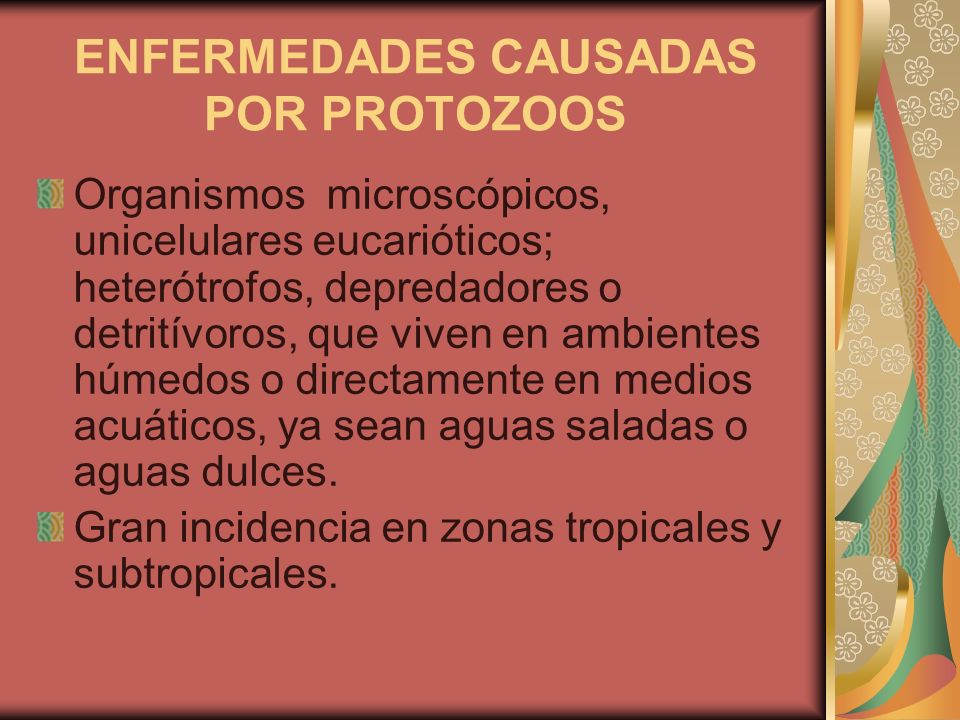 como prevenir enfermedades por protozoarios como prevenir enfermedades por protozoarios