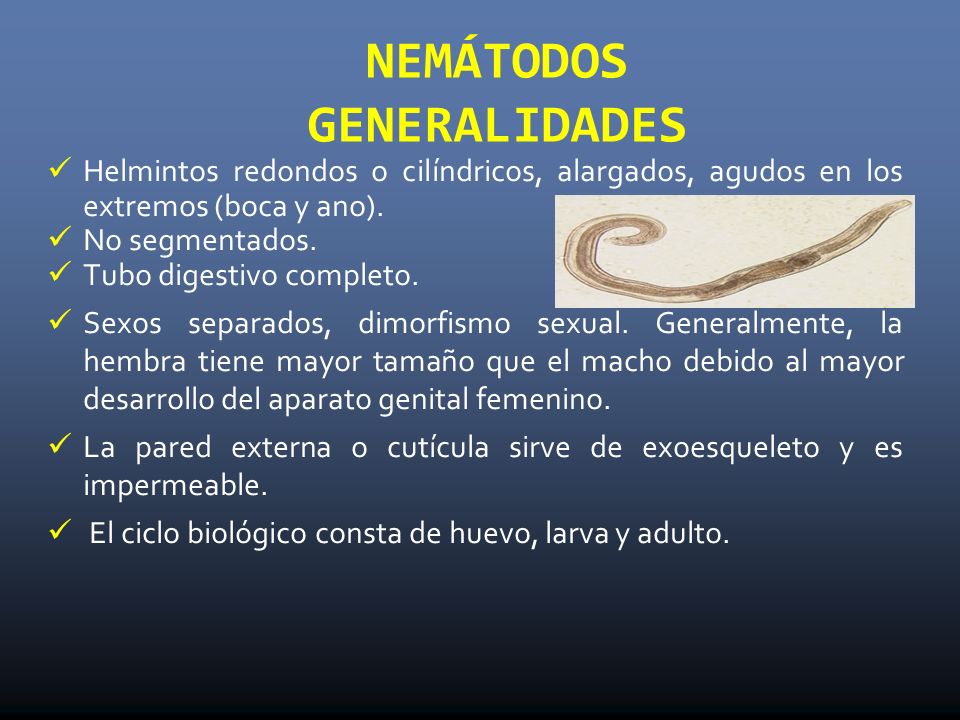 Enterobius vermicularis generalidades, Schistosomiasis icd 10