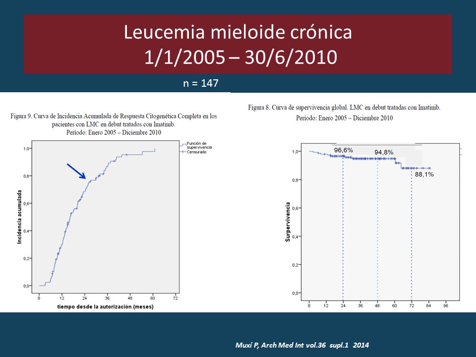 Leucemia mieloide crónica 1/1/2005 – 30/6/2010 n = 147 Muxí P, Arch Med Int vol.36 supl