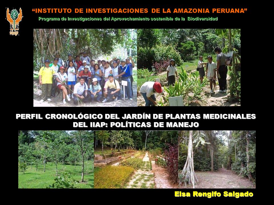 Instituto De Investigaciones De La Amazonia Peruana Perfil