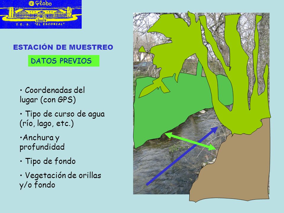 Coordenadas del lugar (con GPS) Tipo de curso de agua (río, lago, etc.) Anchura y profundidad Tipo de fondo Vegetación de orillas y/o fondo DATOS PREVIOS