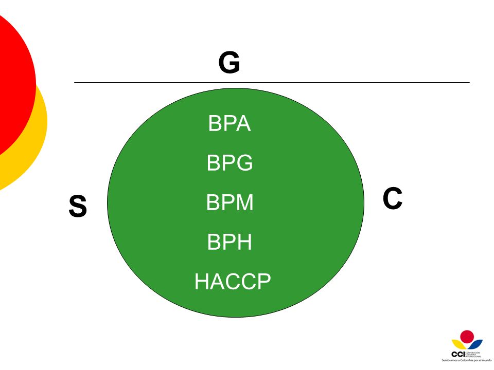 BPA BPG BPM BPH HACCP S G C