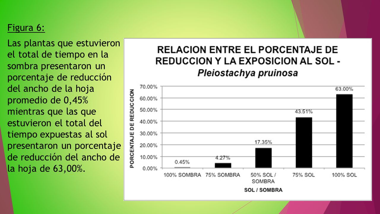 Analisis De Estimulos Ambientales En Plantas Mimosa Pudica Y