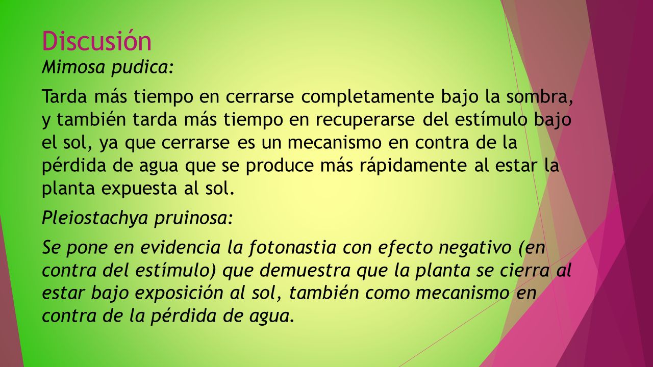 Analisis De Estimulos Ambientales En Plantas Mimosa Pudica Y