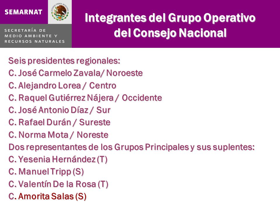 Integrantes del Grupo Operativo del Consejo Nacional Seis presidentes regionales: C.