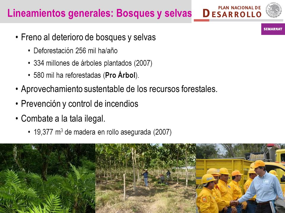 Lineamientos generales: Bosques y selvas Freno al deterioro de bosques y selvas Deforestación 256 mil ha/año 334 millones de árboles plantados (2007) 580 mil ha reforestadas ( Pro Árbol ).