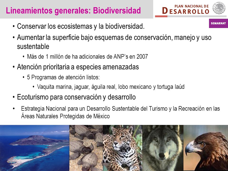 Lineamientos generales: Biodiversidad Conservar los ecosistemas y la biodiversidad.