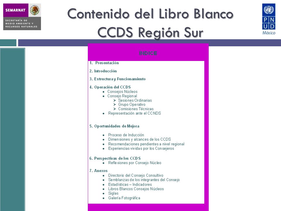 Contenido del Libro Blanco CCDS Región Sur