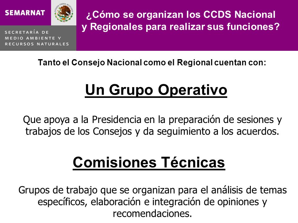 ¿Cómo se organizan los CCDS Nacional y Regionales para realizar sus funciones.