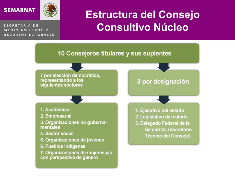 Estructura del Consejo Consultivo Núcleo