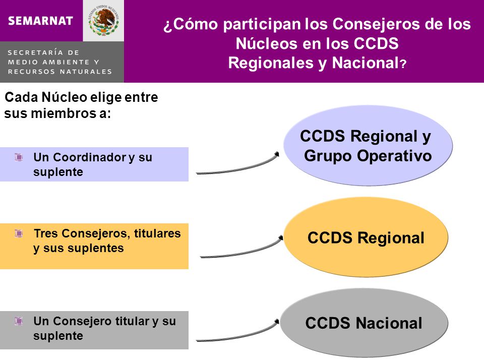 ¿Cómo participan los Consejeros de los Núcleos en los CCDS Regionales y Nacional .