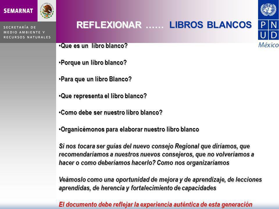 REFLEXIONAR …… LIBROS BLANCOS Que es un libro blanco.
