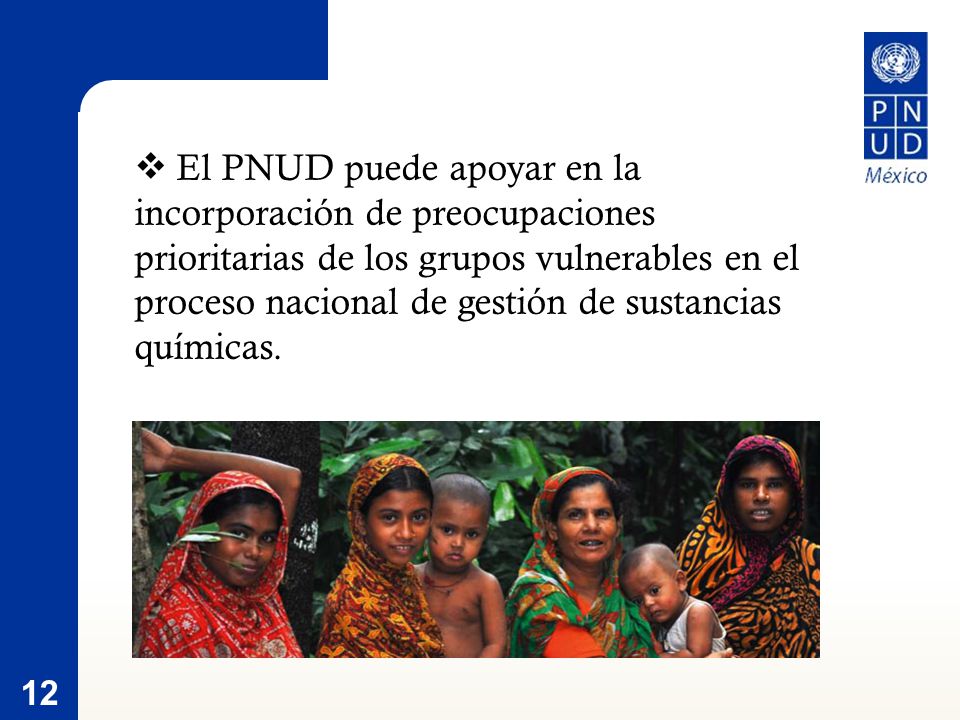 12 El PNUD puede apoyar en la incorporación de preocupaciones prioritarias de los grupos vulnerables en el proceso nacional de gestión de sustancias químicas.