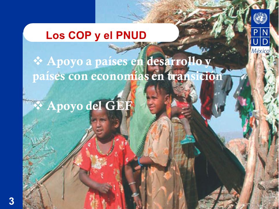 Los COP y el PNUD 3 Apoyo a países en desarrollo y países con economías en transición Apoyo del GEF