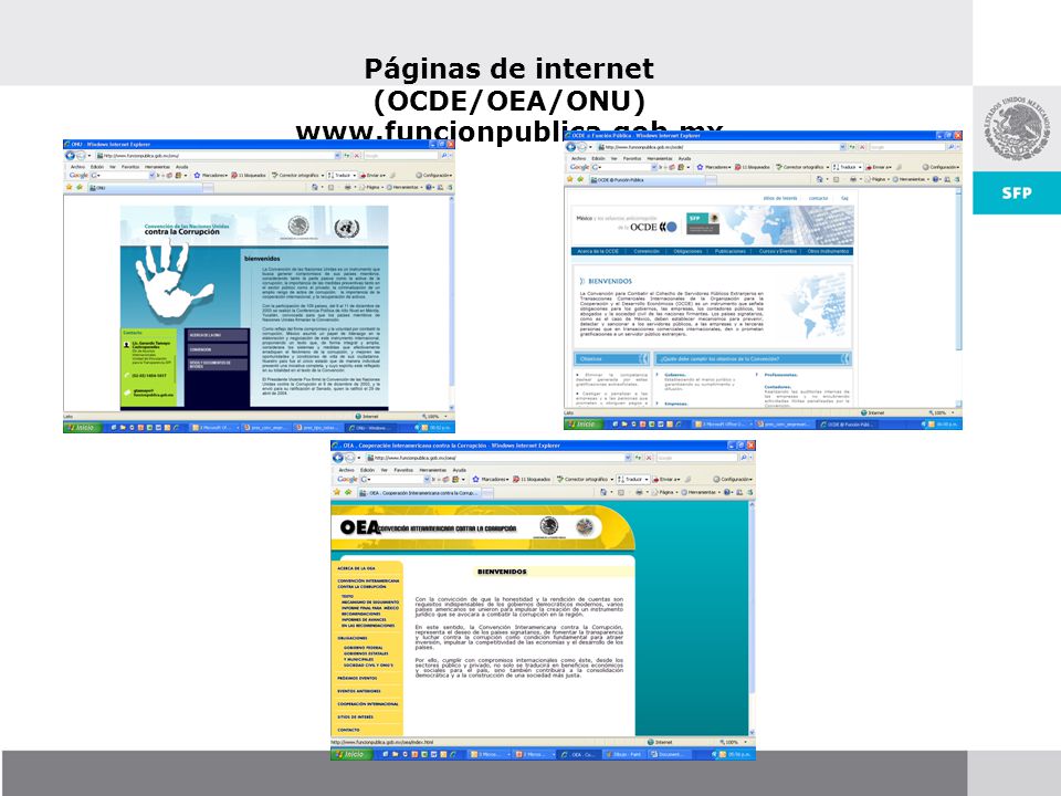 Páginas de internet (OCDE/OEA/ONU)