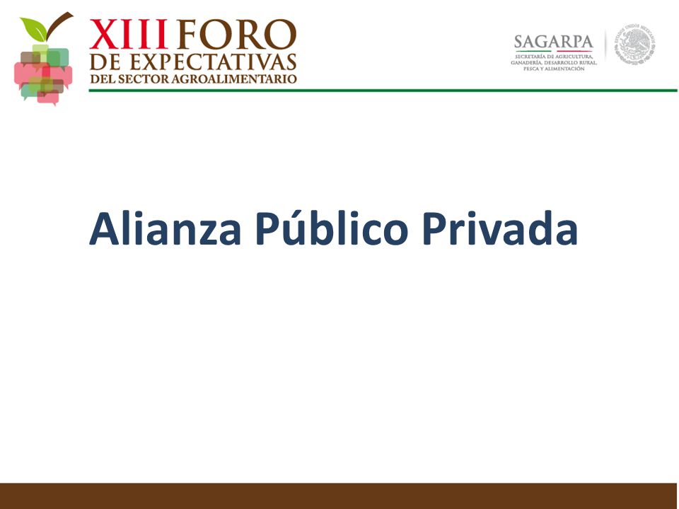 Alianza Público Privada