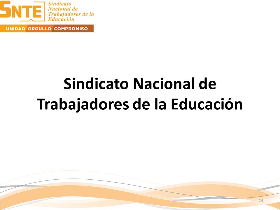 Sindicato Nacional de Trabajadores de la Educación 14