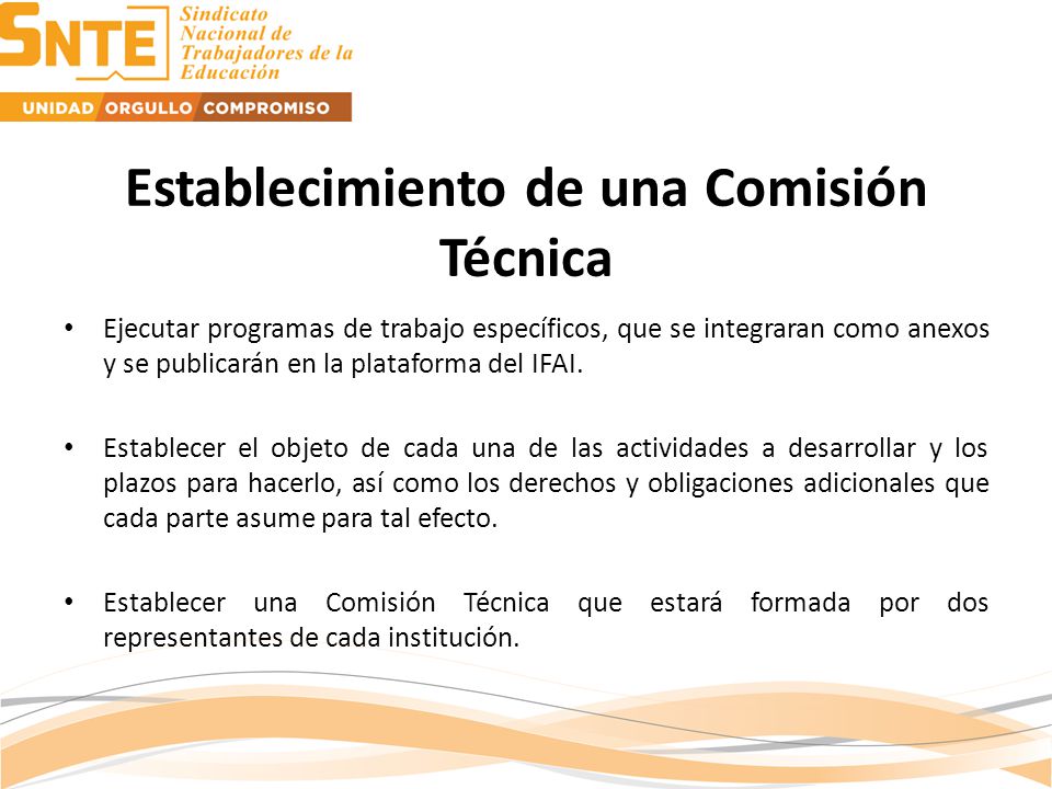Establecimiento de una Comisión Técnica Ejecutar programas de trabajo específicos, que se integraran como anexos y se publicarán en la plataforma del IFAI.