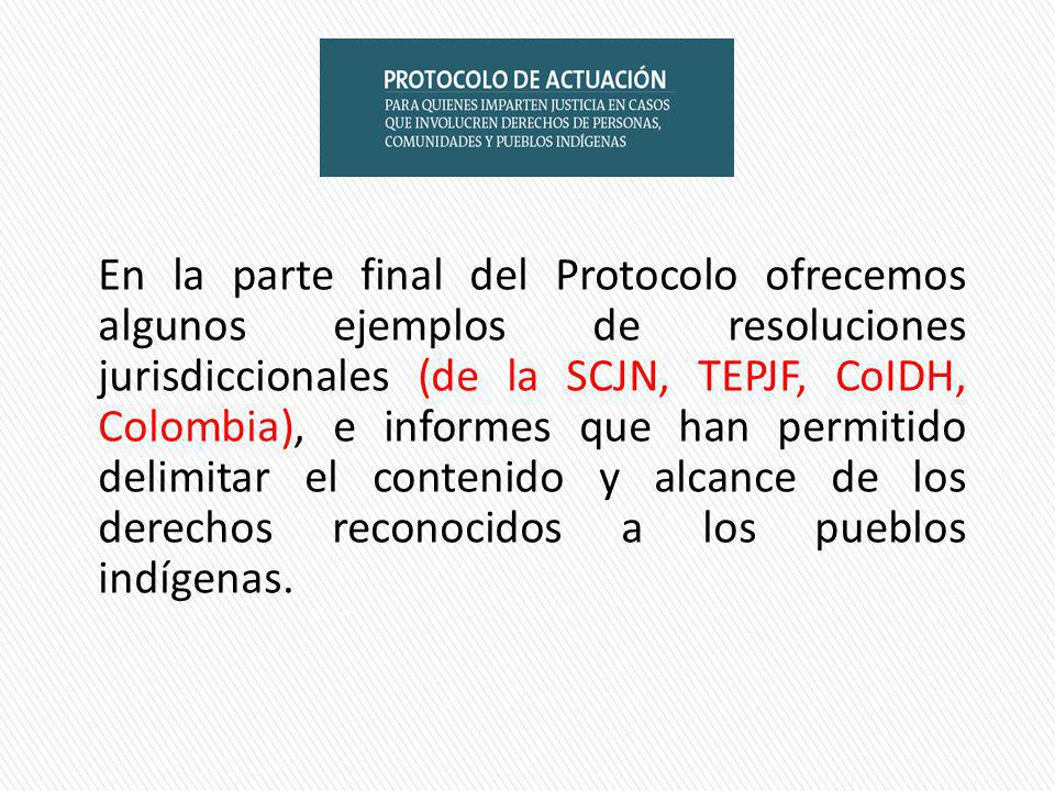 En la parte final del Protocolo ofrecemos algunos ejemplos de resoluciones jurisdiccionales (de la SCJN, TEPJF, CoIDH, Colombia), e informes que han permitido delimitar el contenido y alcance de los derechos reconocidos a los pueblos indígenas.