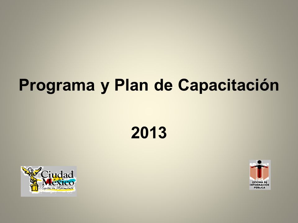 Programa y Plan de Capacitación 2013
