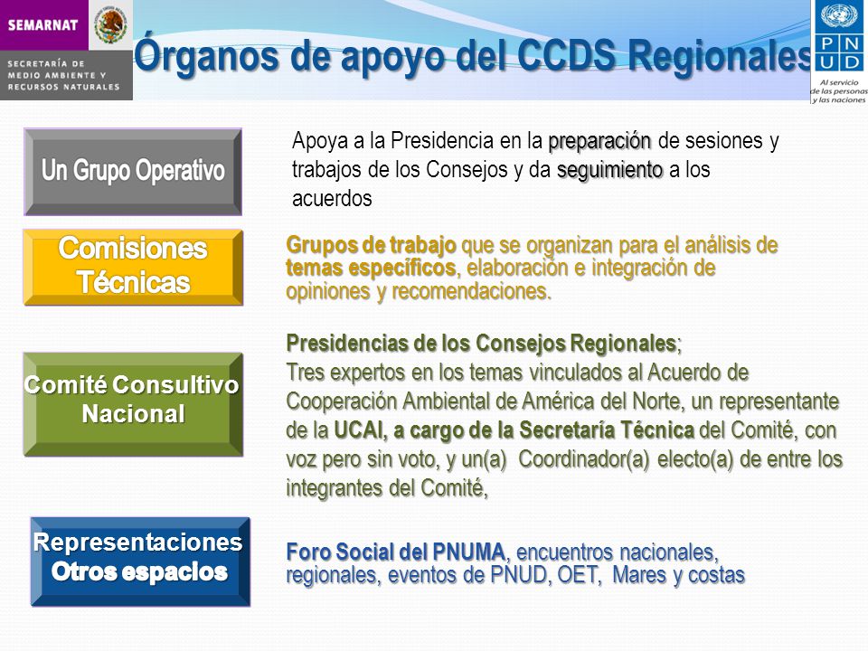 Órganos de apoyo del CCDS Regionales preparación seguimiento Apoya a la Presidencia en la preparación de sesiones y trabajos de los Consejos y da seguimiento a los acuerdos Grupos de trabajo que se organizan para el análisis de temas específicos, elaboración e integración de opiniones y recomendaciones.