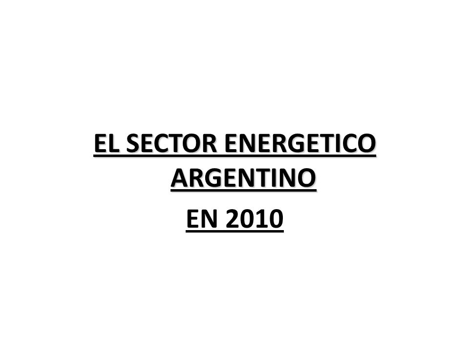EL SECTOR ENERGETICO ARGENTINO EN 2010