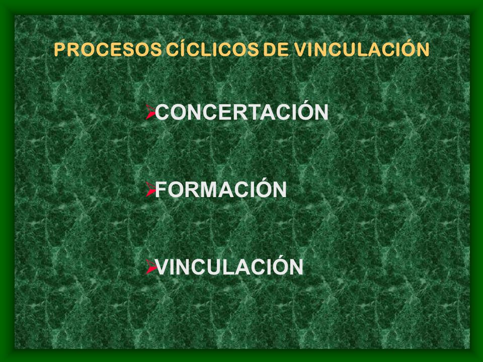 PROCESOS CÍCLICOS DE VINCULACIÓN CONCERTACIÓN FORMACIÓN VINCULACIÓN