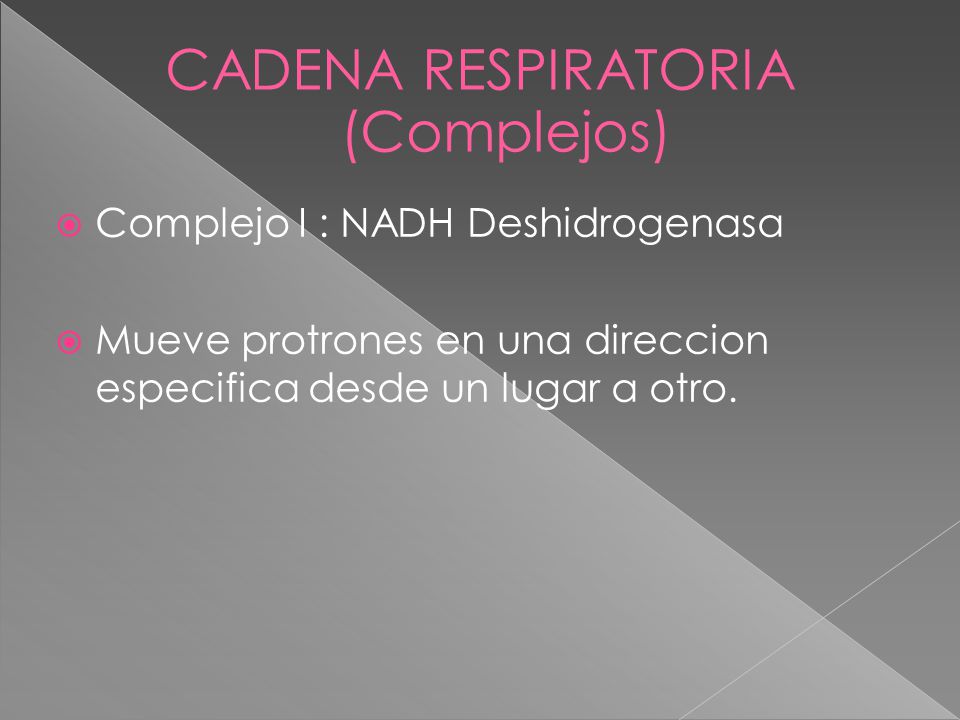 CADENA RESPIRATORIA (Complejos) Complejo I : NADH Deshidrogenasa Mueve protrones en una direccion especifica desde un lugar a otro.