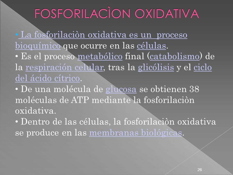 26 La fosforilaciòn oxidativa es un proceso bioquímico que ocurre en las células.