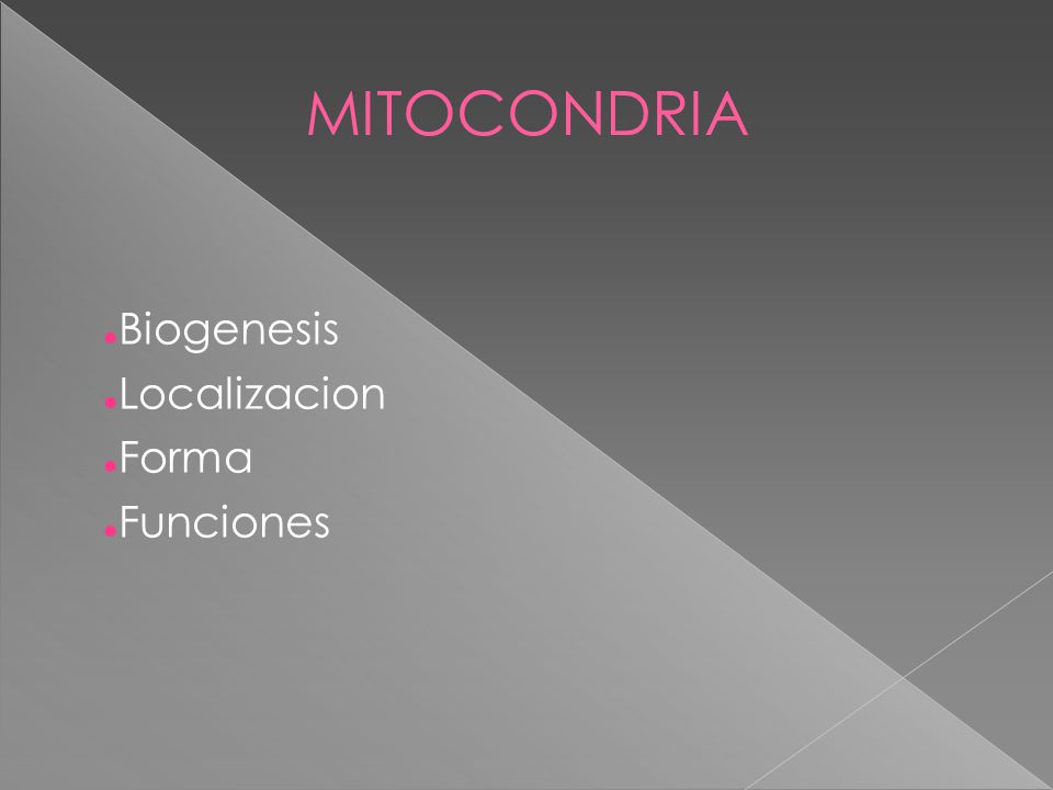MITOCONDRIA Biogenesis Localizacion Forma Funciones
