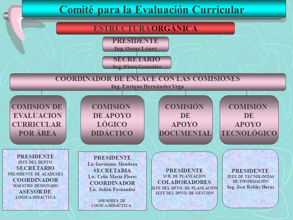 Comité para la Evaluación Curricular ESTRUCTURA ORGÁNICA PRESIDENTE Ing.