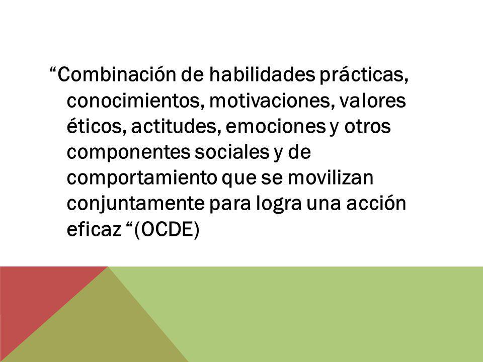 Combinación de habilidades prácticas, conocimientos, motivaciones, valores éticos, actitudes, emociones y otros componentes sociales y de comportamiento que se movilizan conjuntamente para logra una acción eficaz (OCDE)