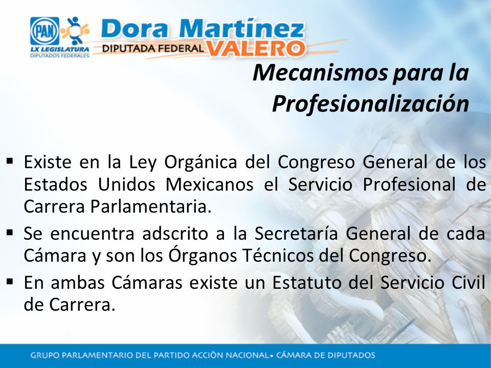 Mecanismos para la Profesionalización Existe en la Ley Orgánica del Congreso General de los Estados Unidos Mexicanos el Servicio Profesional de Carrera Parlamentaria.