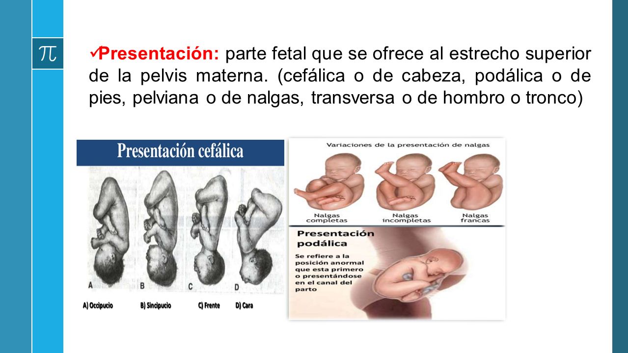 MANIOBRAS DE LEOPOLD PATRICIA ELIZABETH JACINTO BLANCO. - ppt descargar