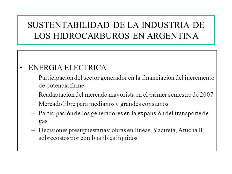 SUSTENTABILIDAD DE LA INDUSTRIA DE LOS HIDROCARBUROS EN ARGENTINA ENERGIA ELECTRICA –Participación del sector generador en la financiación del incremento de potencia firme –Readaptación del mercado mayorista en el primer semestre de 2007 –Mercado libre para medianos y grandes consumos –Participación de los generadores en la expansión del transporte de gas –Decisiones presupuestarias: obras en líneas, Yaciretá, Atucha II, sobrecostos por combustibles líquidos