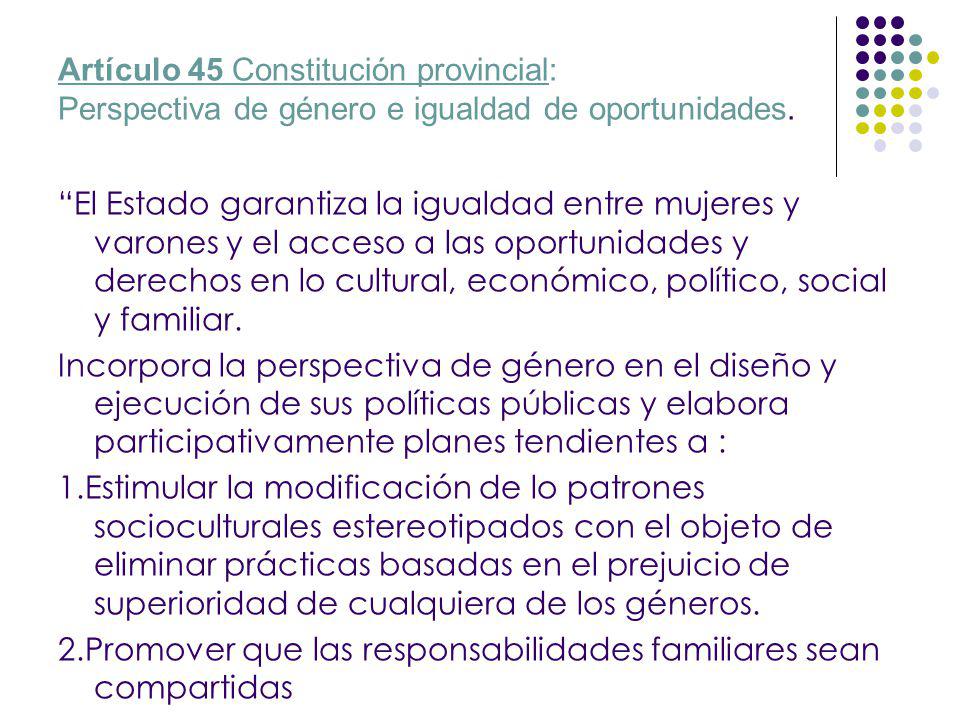 Artículo 45 Constitución provincial: Perspectiva de género e igualdad de oportunidades.