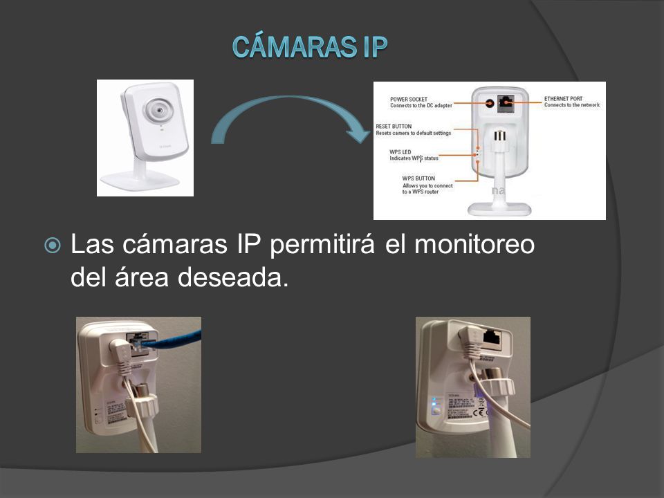 Las cámaras IP permitirá el monitoreo del área deseada.