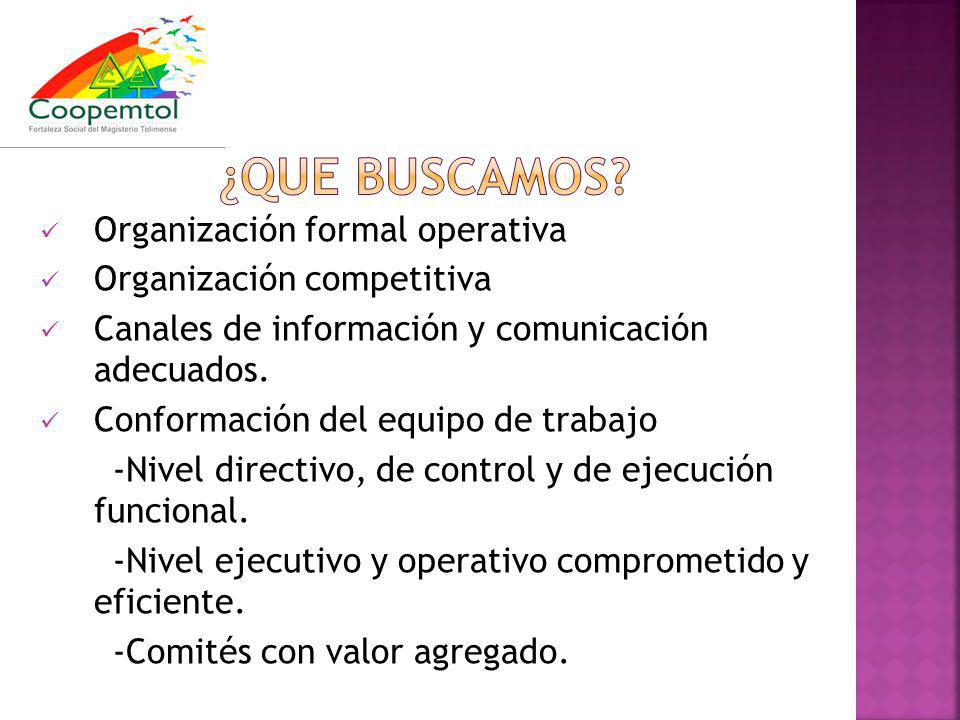 Organización formal operativa Organización competitiva Canales de información y comunicación adecuados.