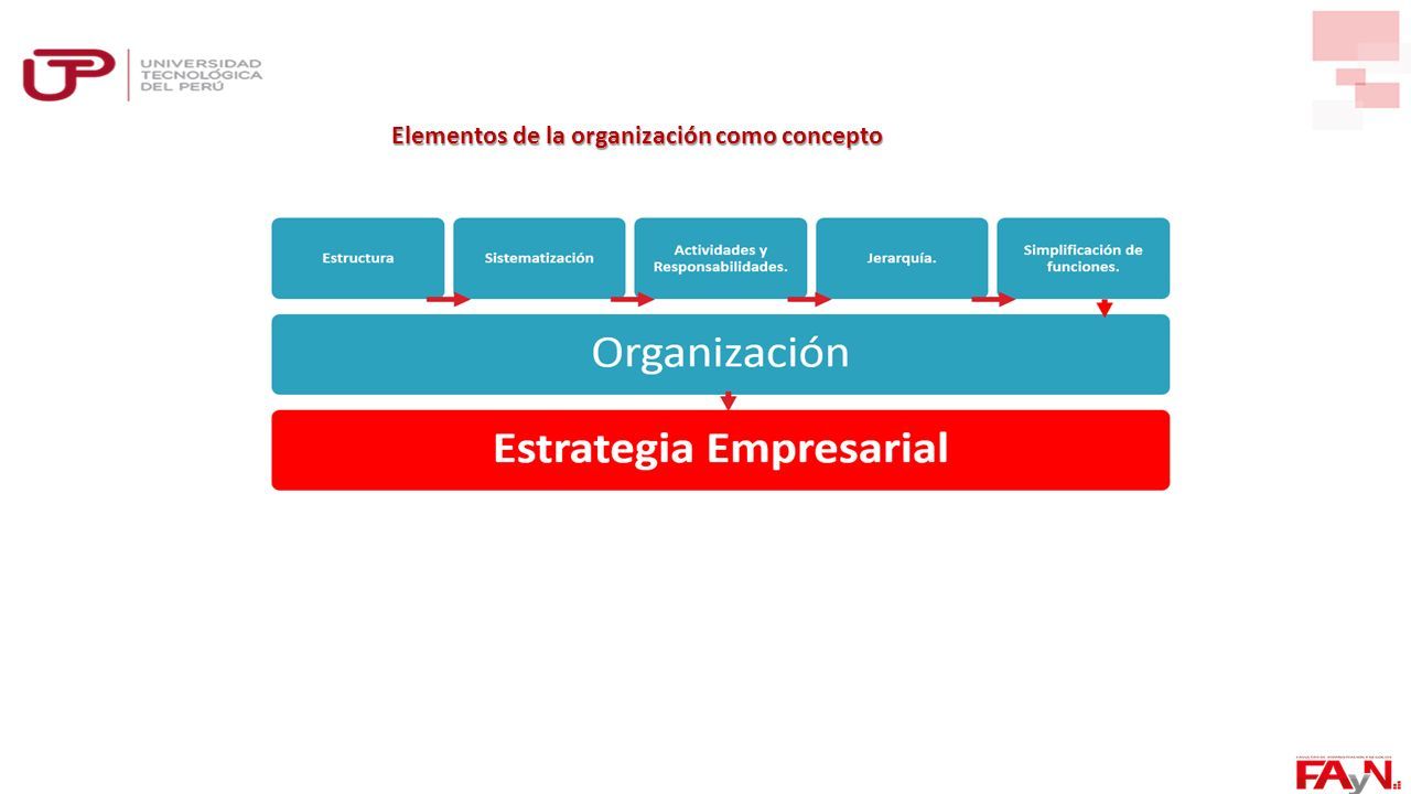 Elementos de la organización como concepto