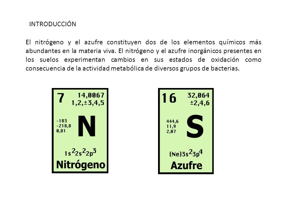 INTRODUCCIÓN El nitrógeno y el azufre constituyen dos de los elementos químicos más abundantes en la materia viva.