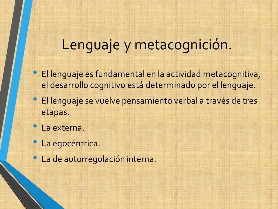 Lenguaje y metacognición.