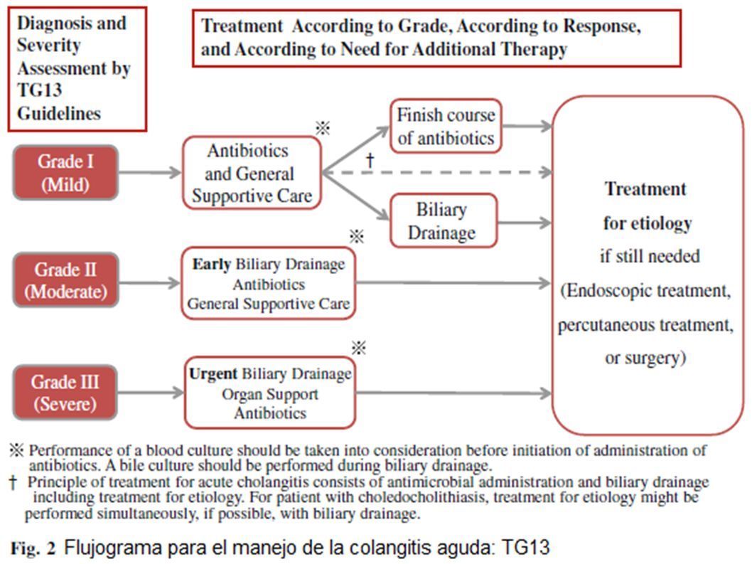 Treatment method. Acute cholangitis. Grade III по Tokyo Guidelines.