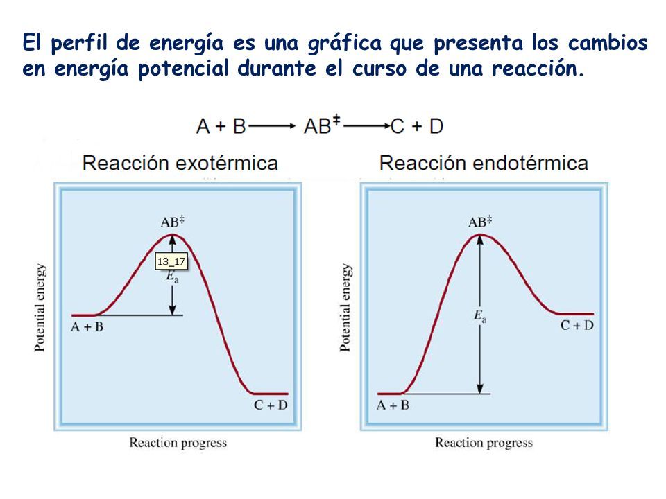 El perfil de energía es una gráfica que presenta los cambios en energía potencial durante el curso de una reacción.