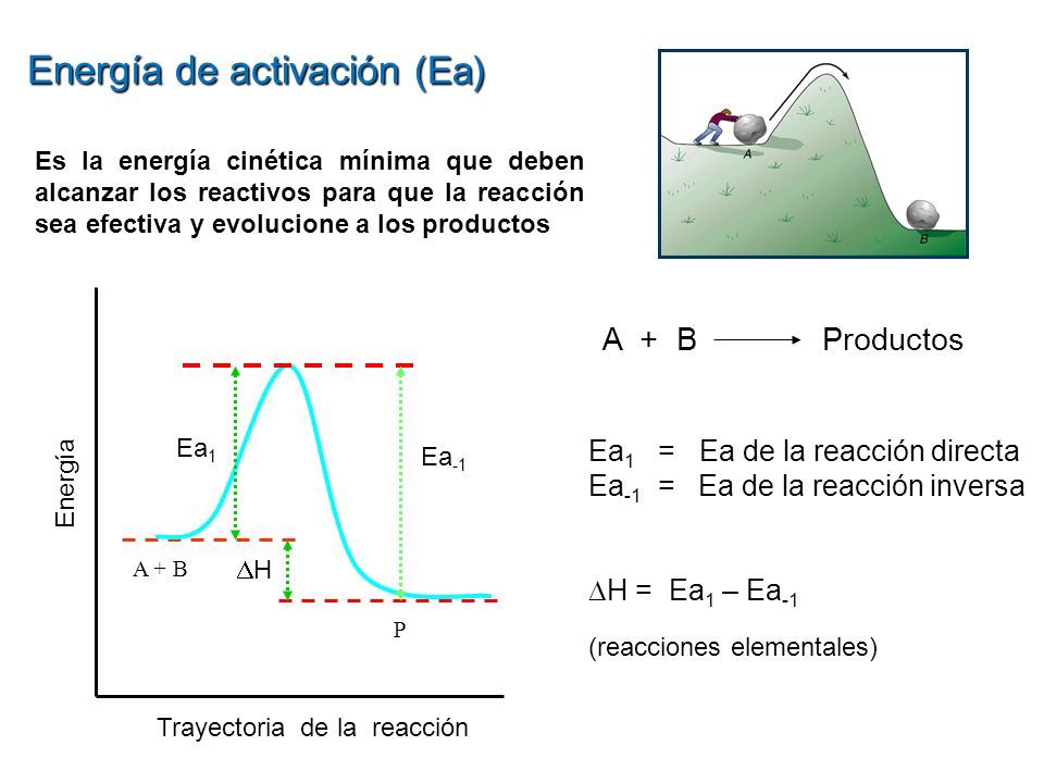 Energía de activación (Ea) A + B P Trayectoria de la reacción Energía Ea -1 Ea 1 HH Ea 1 = Ea de la reacción directa Ea -1 = Ea de la reacción inversa  H = Ea 1 – Ea -1 (reacciones elementales) A + B Productos Es la energía cinética mínima que deben alcanzar los reactivos para que la reacción sea efectiva y evolucione a los productos