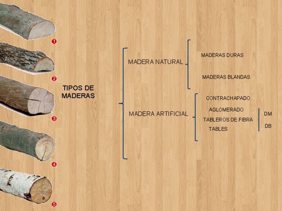 LA MADERA. La madera, sustancia dura y resistente que constituye el tronco  de los árboles. La madera se ha utilizado como combustible y como material.  - ppt descargar