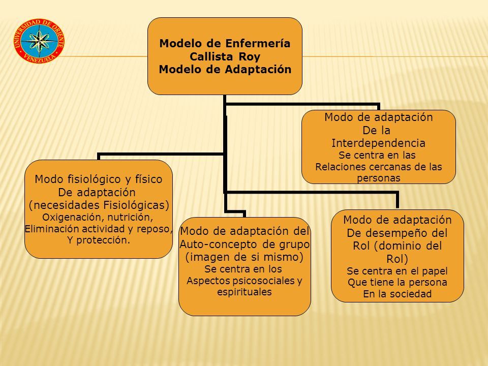 INTRODUCCIÓN A LA ENFERMERÍA UNIDAD IV TEORÍAS DE. - ppt descargar