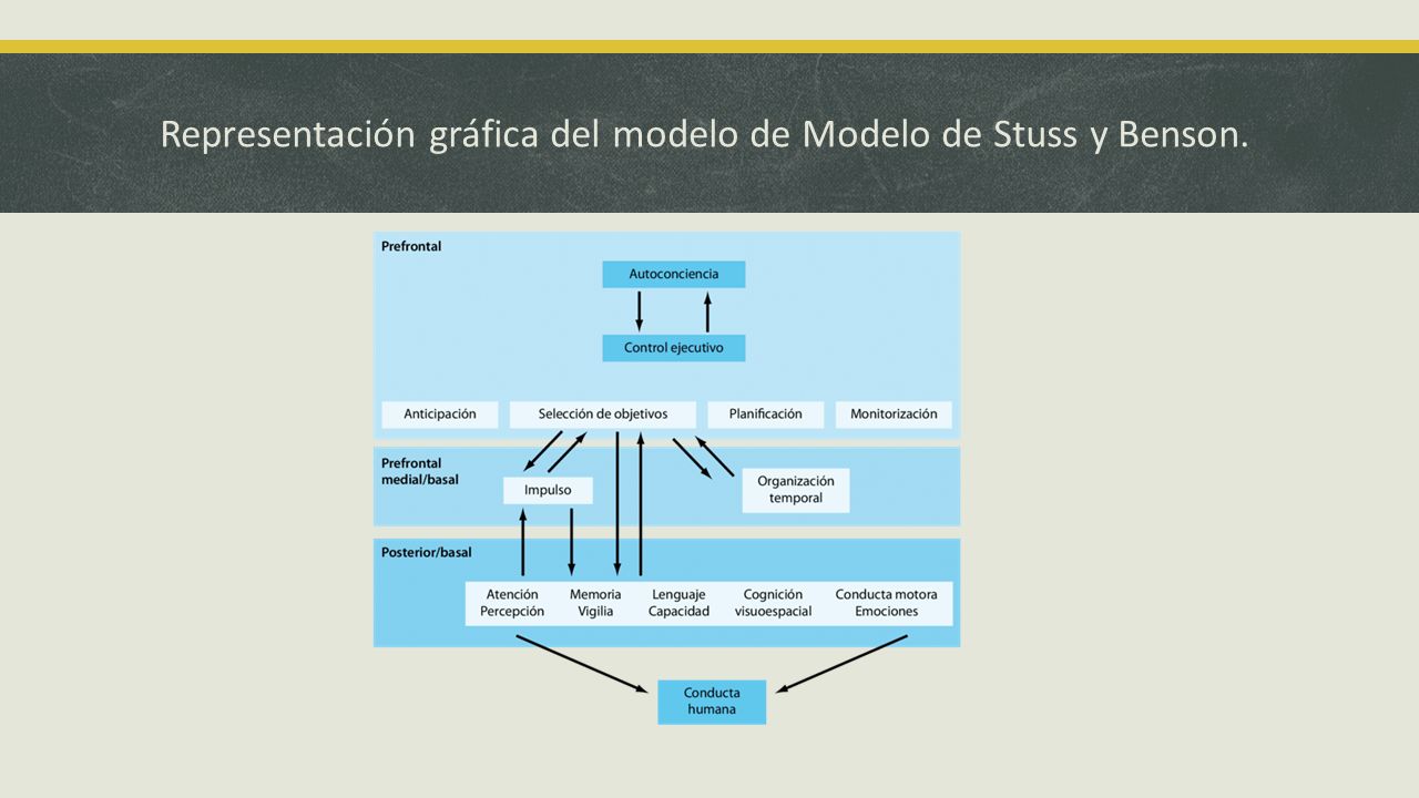 Modelos de atención Milena Estupiñan; Licenciada en Educación Parvularia. -  ppt descargar