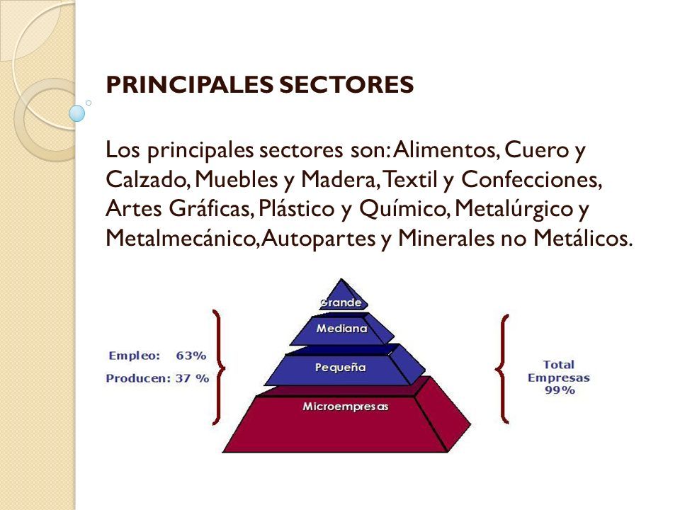 PRINCIPALES SECTORES Los principales sectores son: Alimentos, Cuero y Calzado, Muebles y Madera, Textil y Confecciones, Artes Gráficas, Plástico y Químico, Metalúrgico y Metalmecánico, Autopartes y Minerales no Metálicos.
