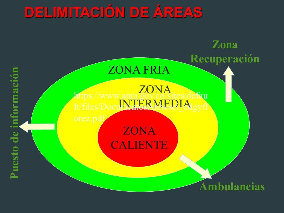 DELIMITACIÓN DE ÁREAS Zona Recuperación Ambulancias Puesto de información ZONA FRIA ZONA INTERMEDIA ZONA CALIENTE   lt/files/DocumentosAnm/sci_edgyfl orez.pdf
